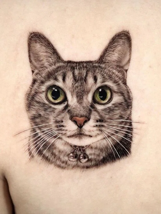 tatuaje realista a color del rostro de un gato