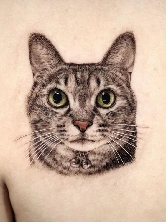 I got my new tattoo! : r/cats