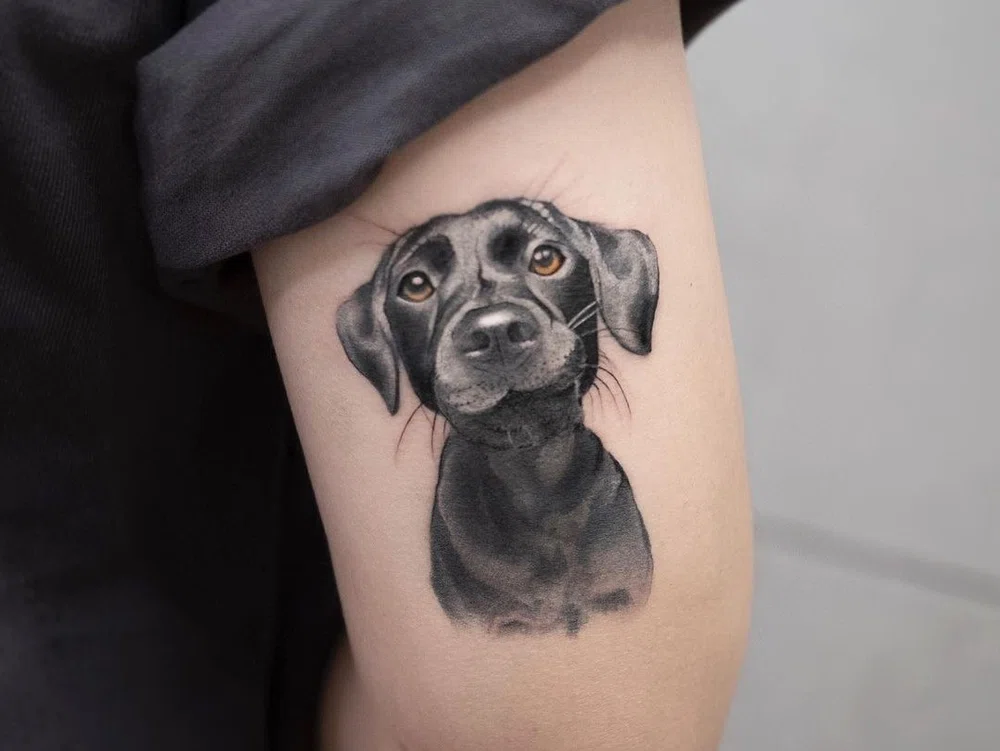 tatuaje de un perro de color negro y ojos marrones