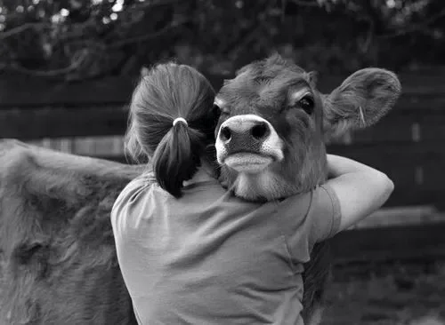 mujer abrazando a una vaca. Amor por los animales. Vida vegana.